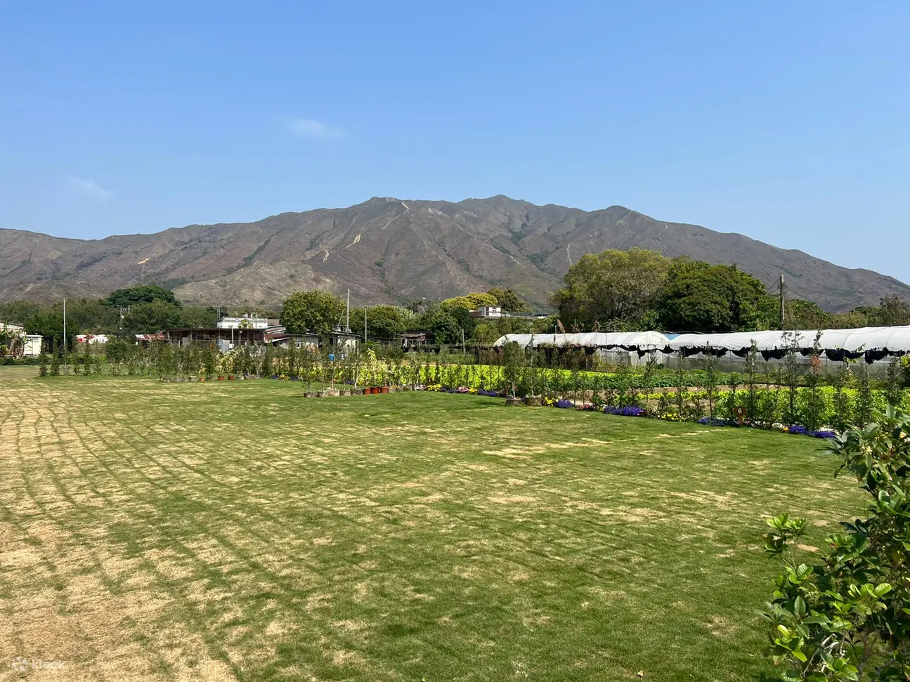 Autocamper 大江埔罗汉园 | 鸡公岭山脉全景 | 澳洲荒原式汽车营地